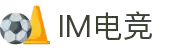 IM(股份有限公司)电竞-电子竞技平台